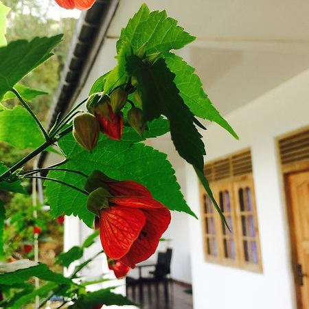 Green View Guest Inn Nallathanniya Ngoại thất bức ảnh